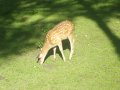 IMGP0790.JPG